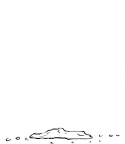 No Items